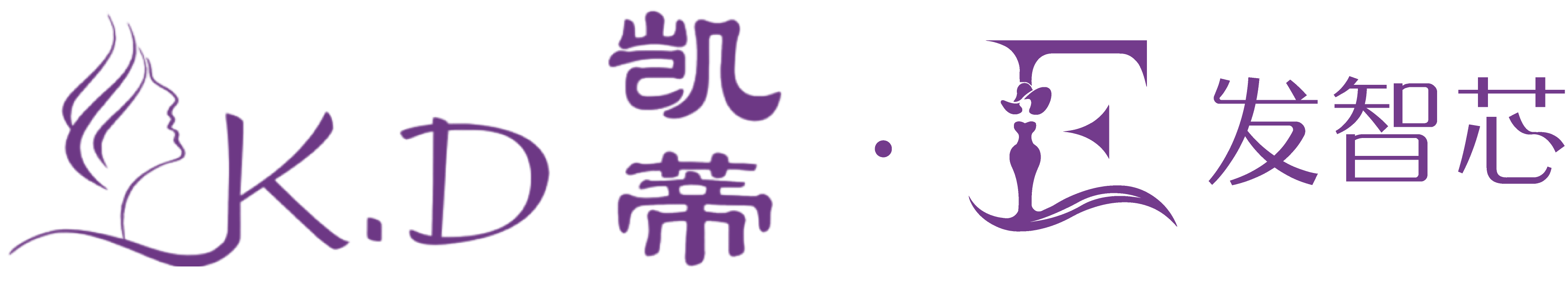 发智芯